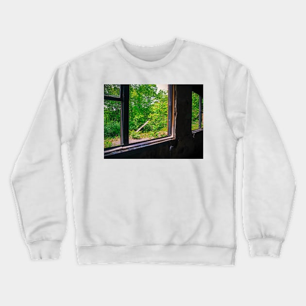 I Want To Go Out And Play Crewneck Sweatshirt by PaulLu